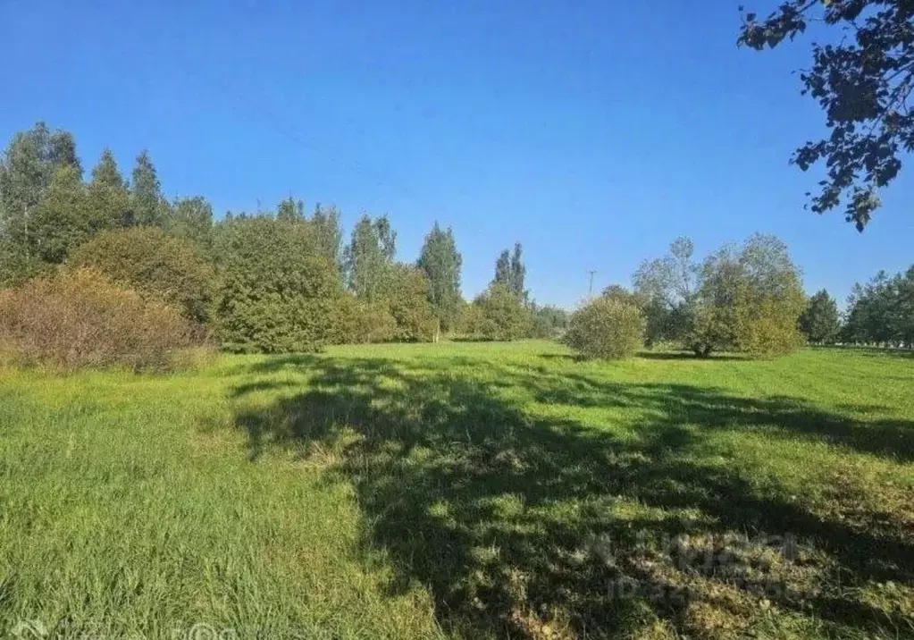 Участок в Ленинградская область, Тосненский район, Любанское городское ... - Фото 2