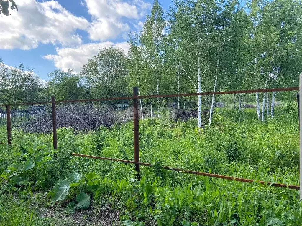Участок в Башкортостан, Хайбуллинский район, Абишевский сельсовет, д. ... - Фото 1