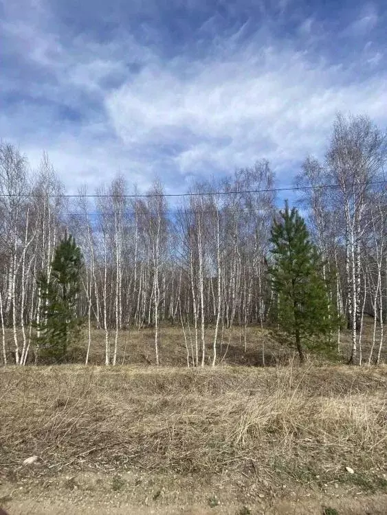 Участок в Иркутская область, Нижнеудинский район, Атагайское ... - Фото 2