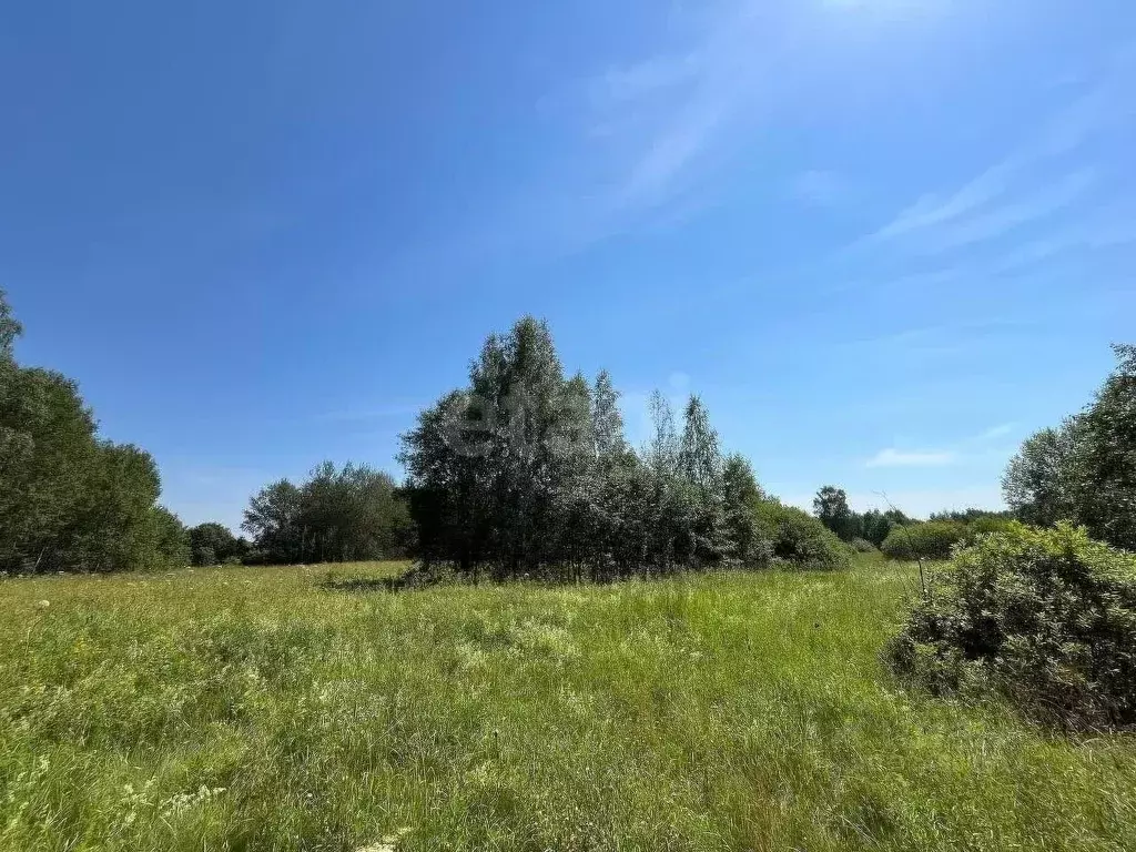 Участок в Владимирская область, Александровский муниципальный округ, ... - Фото 0