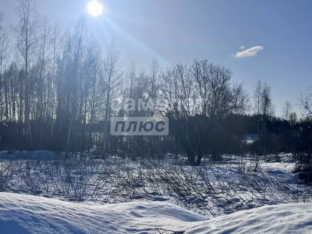 Участок в Московская область, Дмитровский муниципальный округ, д. ... - Фото 1