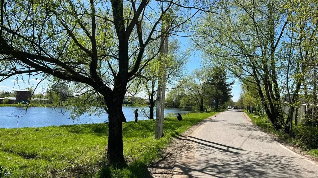 Участок в Московская область, Солнечногорск городской округ, д. ... - Фото 1