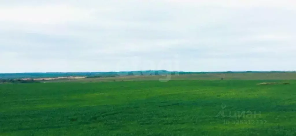 Участок в Крым, Ленинский район, Челядиновское с/пос, с. Челядиново ... - Фото 1