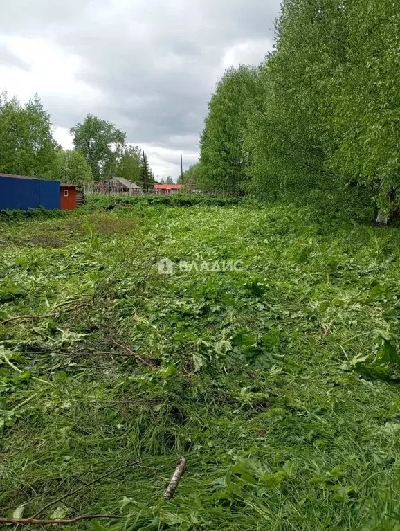 Участок в Коми, Корткеросский муниципальный район, Пезмег ... - Фото 1