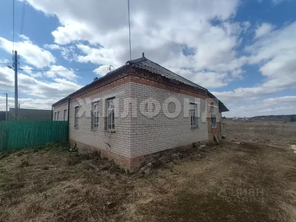 Дом в Новосибирская область, Тогучинский район, с. Усть-Каменка ул. ... - Фото 1
