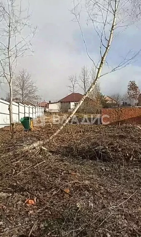 Участок в Белгородская область, Белгородский район, Тавровское с/пос, ... - Фото 1