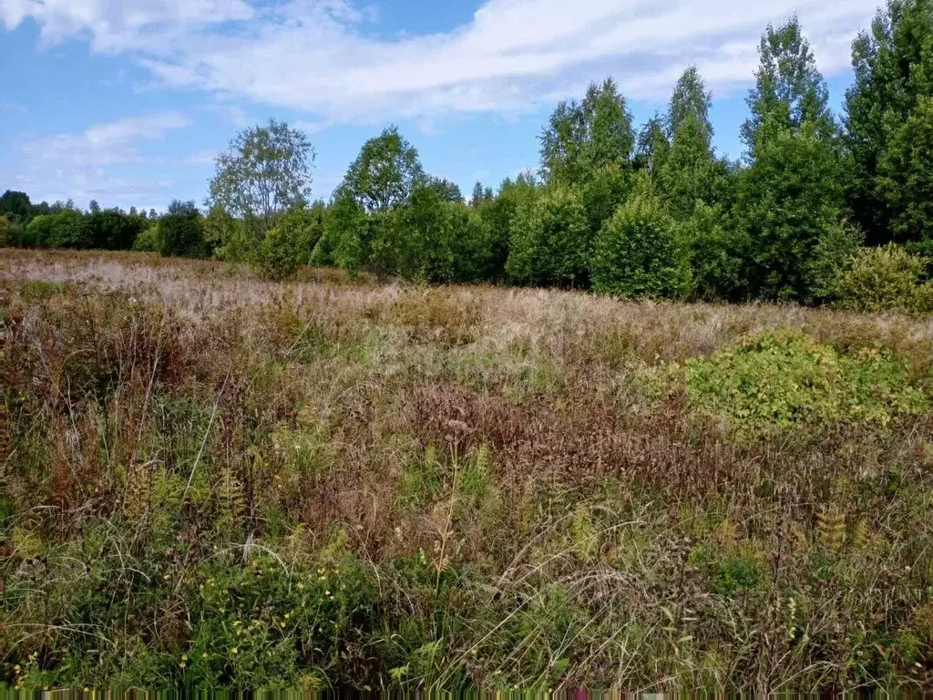 Участок в Вологодская область, Вытегорский район, Оштинское с/пос, д. ... - Фото 1