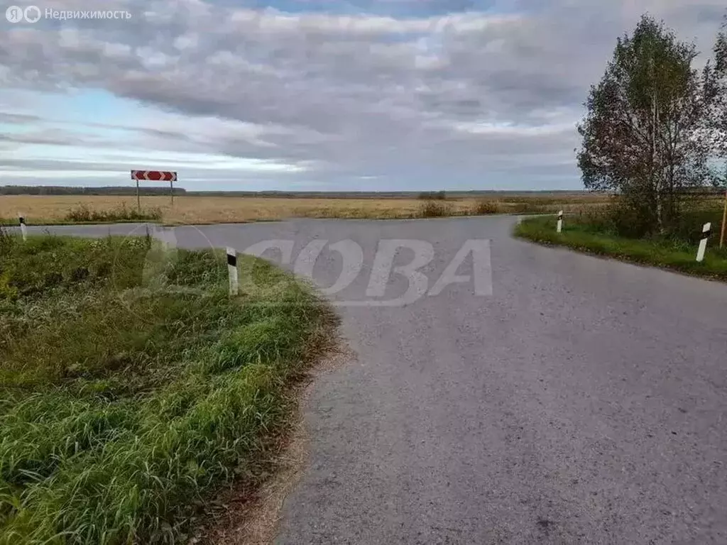 Участок в Тюменский район, деревня Зырянка (10 м) - Фото 0