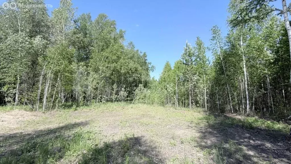 Участок в СНТ Березняки (18 м) - Фото 1