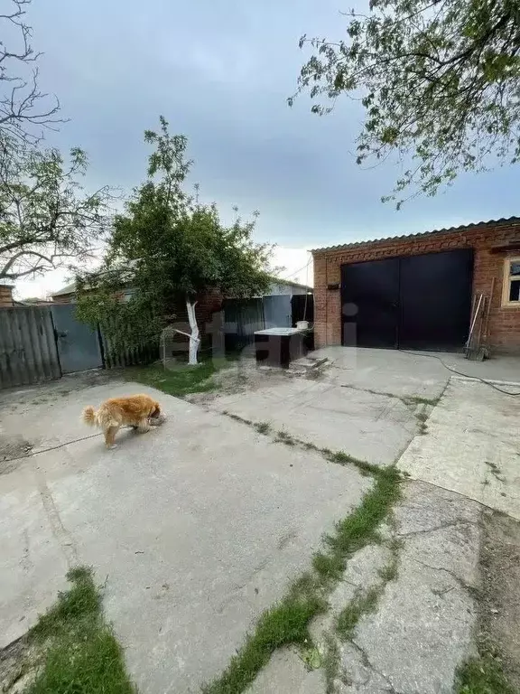 Дом в Ростовская область, Азовский район, Круглянское с/пос, с. ... - Фото 1
