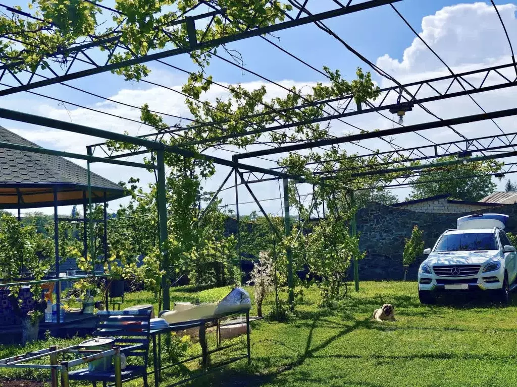Участок в Ростовская область, Мясниковский район, с. Большие Салы ул. ... - Фото 1