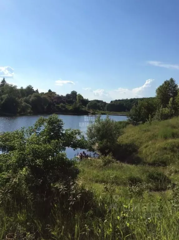 Участок в Воронежская область, Семилукский район, Латненское с/пос, ... - Фото 2