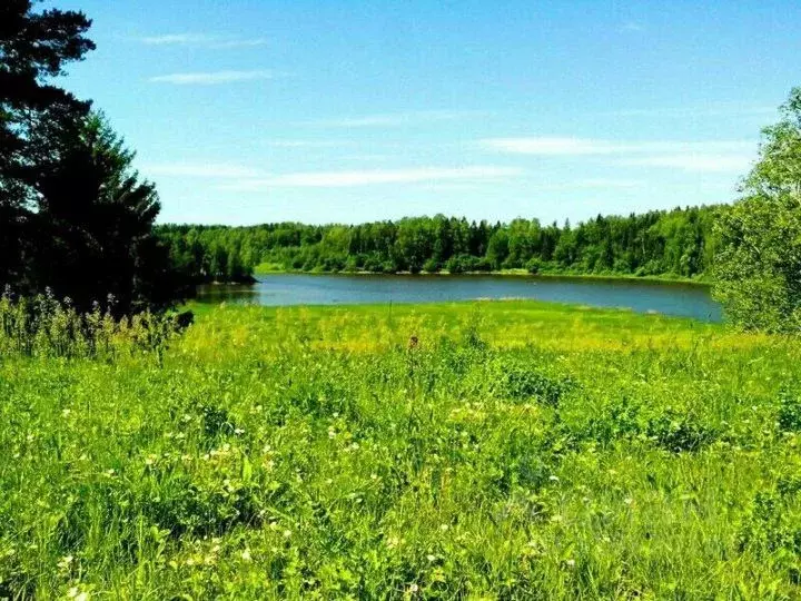 Участок в Калининградская область, Славский муниципальный округ, пос. ... - Фото 1