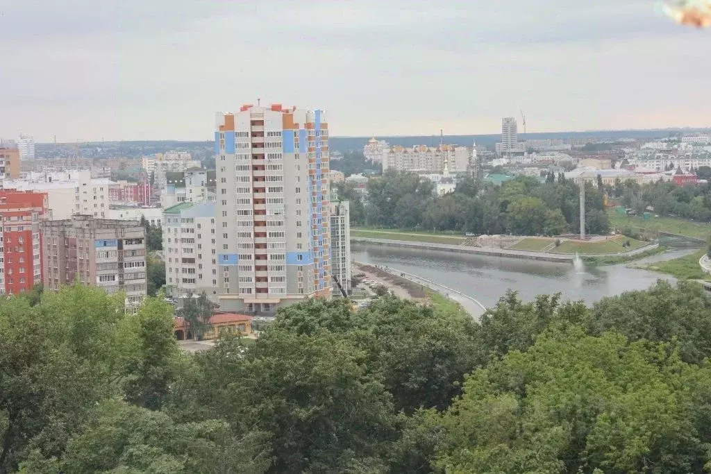 1-к кв. Орловская область, Орел наб. Дубровинского, 76 (50.0 м) - Фото 0