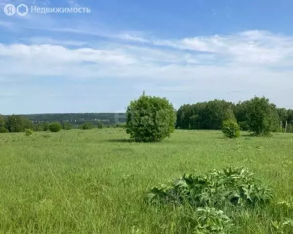Участок в Кемеровский муниципальный округ, деревня Береговая (11.35 м) - Фото 1