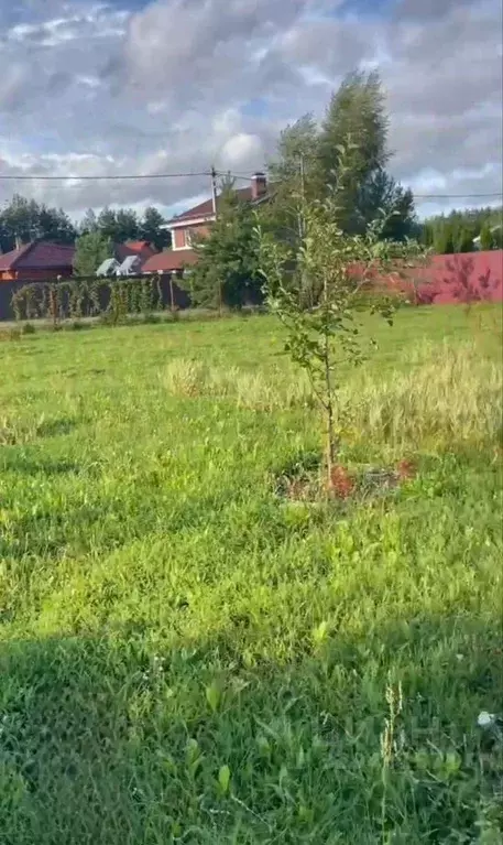 Участок в Московская область, Раменский муниципальный округ, ... - Фото 2