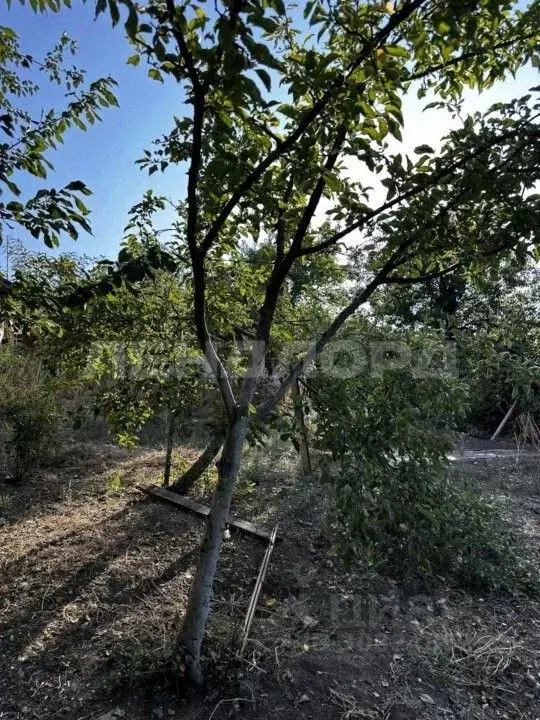 Участок в Ростовская область, Новочеркасск Северная ул. (6.0 сот.) - Фото 0