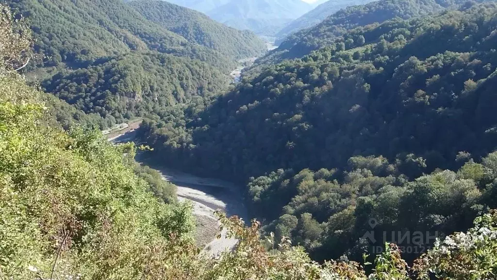 Участок в Краснодарский край, Сочи городской округ, с. Харциз Первый ... - Фото 0