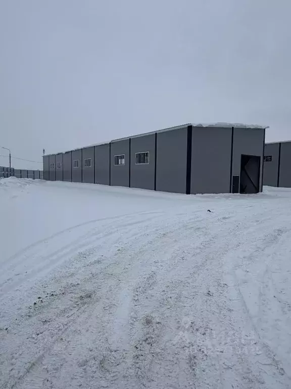 Склад в Московская область, Раменский муниципальный округ, д. ... - Фото 2
