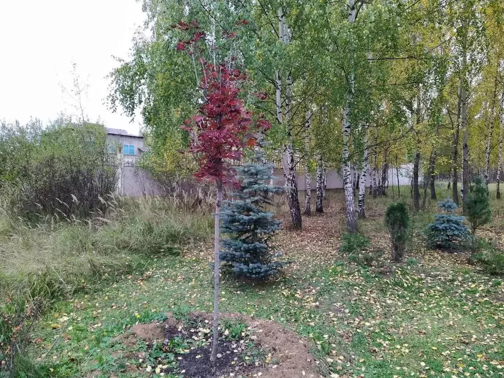 Участок в Московская область, Голицыно Одинцовский городской округ, ... - Фото 1