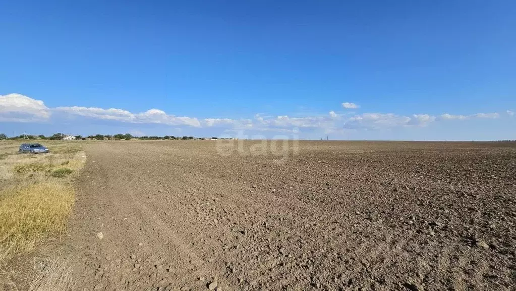 Участок в Крым, Первомайский район, с. Алексеевка  (1496.4 сот.) - Фото 2