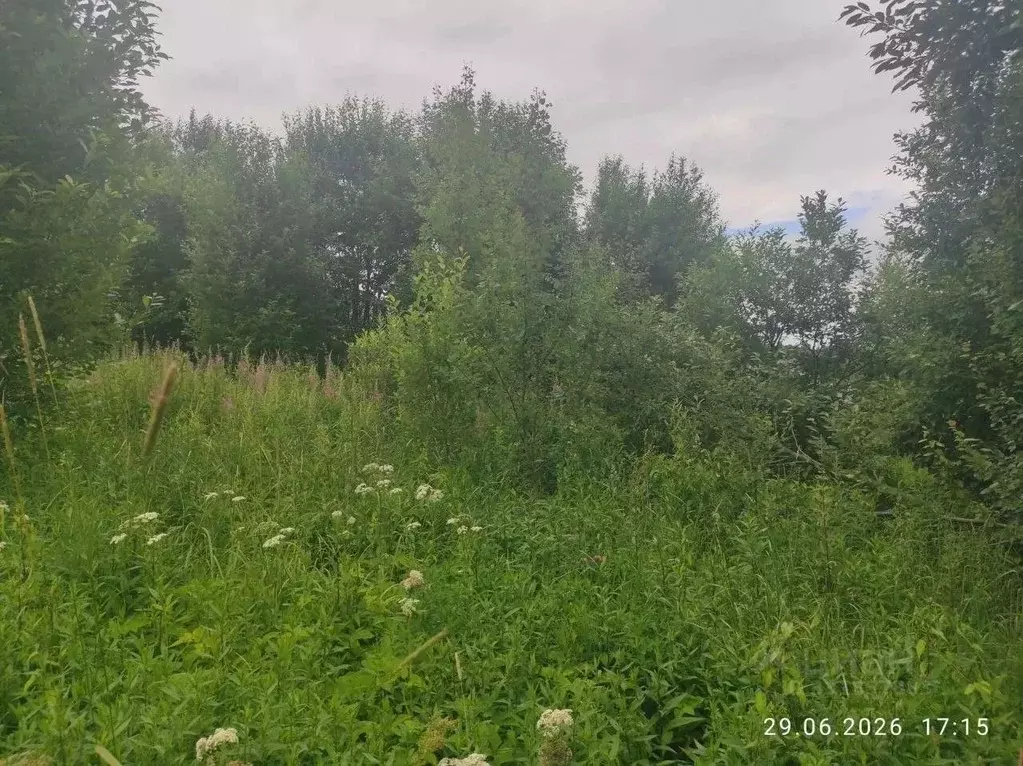 Участок в Московская область, Солнечногорск городской округ, д. ... - Фото 2