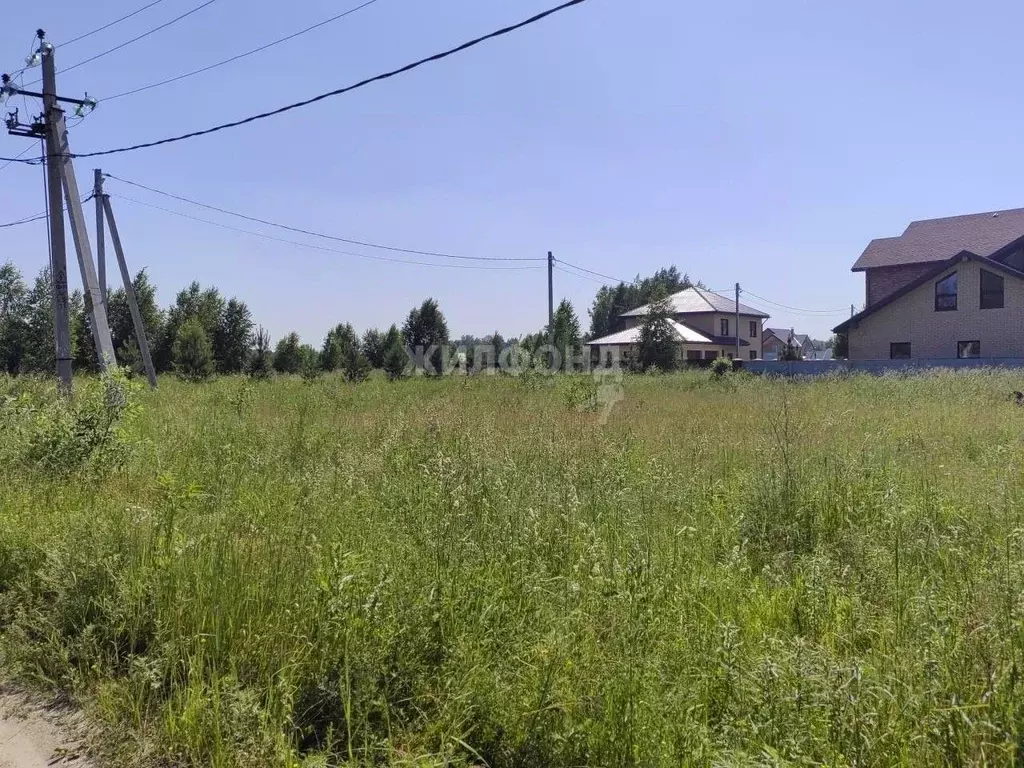 Участок в Новосибирская область, Новосибирский район, Кудряшовский ... - Фото 0