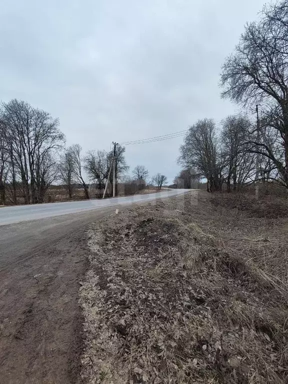 Участок в Ленинградская область, Ломоносовский район, Копорское с/пос, ... - Фото 1