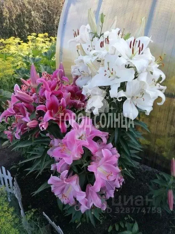 Дом в Омская область, Омск  (20 м) - Фото 2