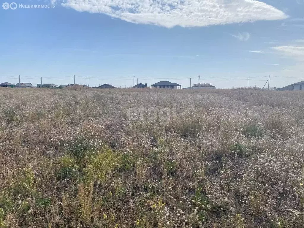 участок в село стрелецкое, рубежная улица (15 м) - Фото 1