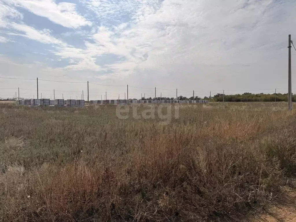 Участок в Ростовская область, Мясниковский район, с. Большие Салы ул. ... - Фото 2
