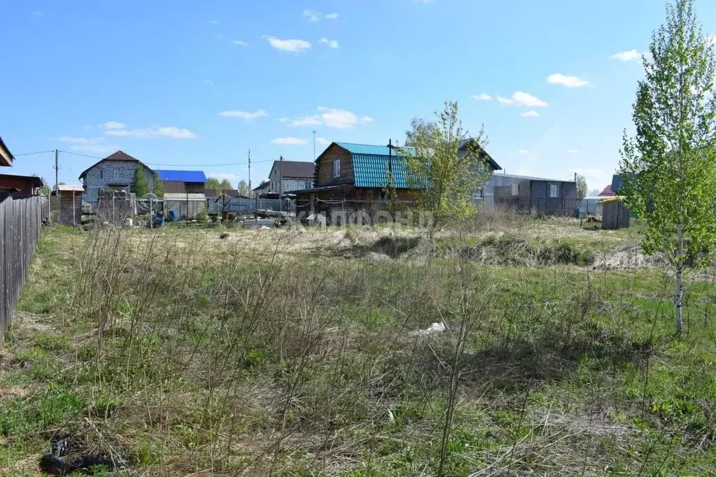 Участок в Новосибирская область, Новосибирск ул. Солидарности (9.0 ... - Фото 1