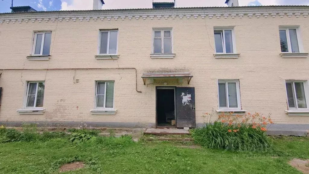 1-к кв. Орловская область, Орел ул. Рабочий Городок, 21 (28.0 м) - Фото 1