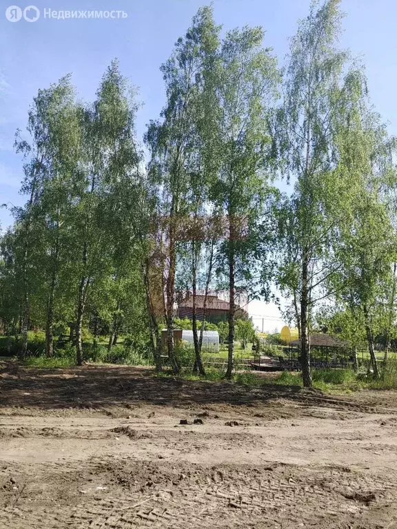 Участок в Светловский городской округ, посёлок Взморье, Тенистая ... - Фото 2