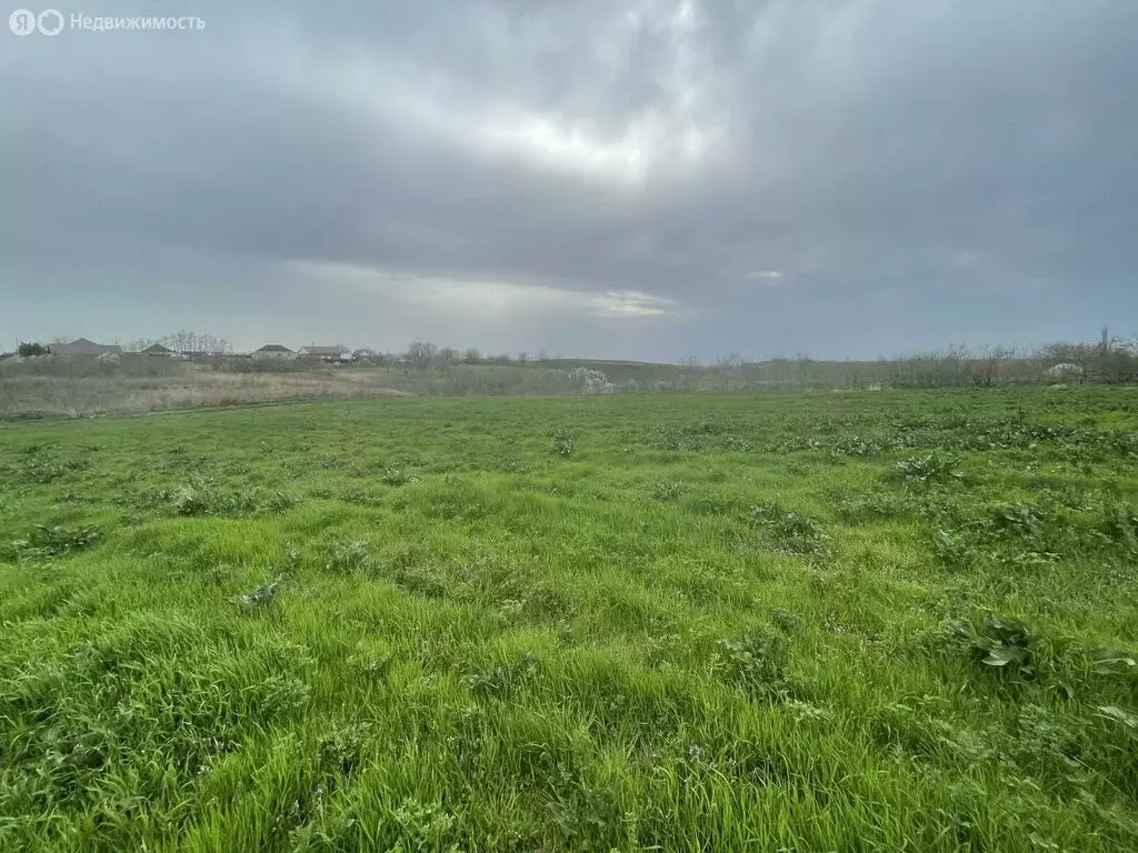 Участок в станица Казанская, Бирючий переулок (60 м) - Фото 1