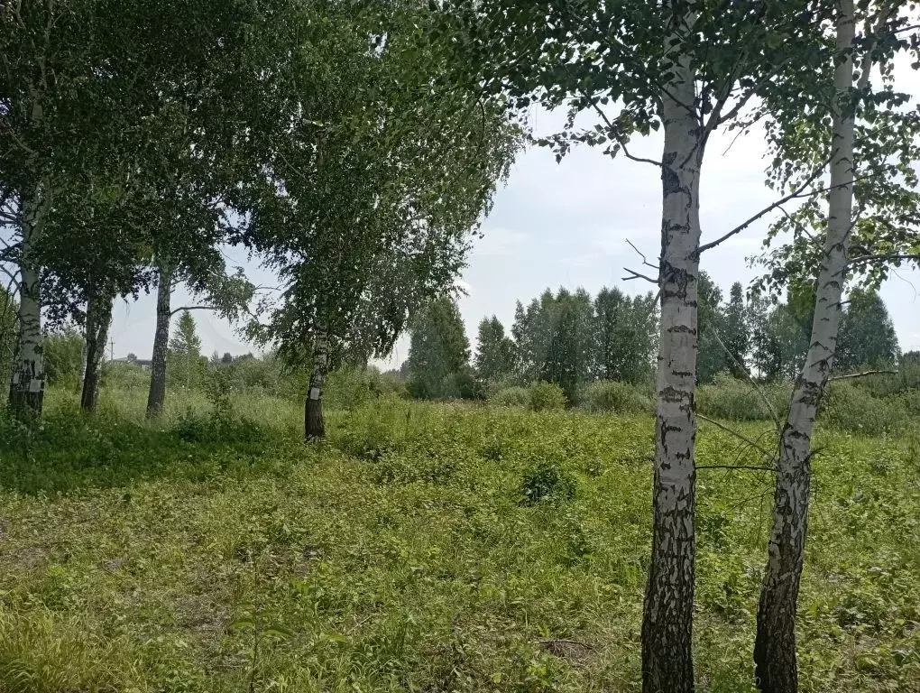 Участок 22 сот. (СНТ, ДНП) - Фото 0