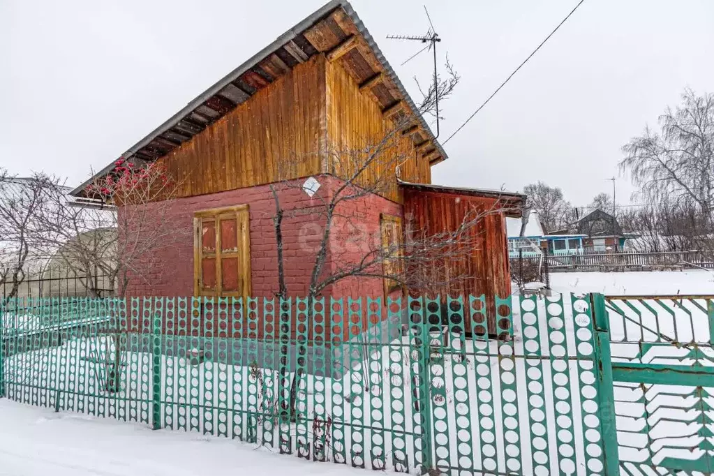 Дом в Новосибирская область, Бердск Чайка садовое товарищество, ул. ... - Фото 1