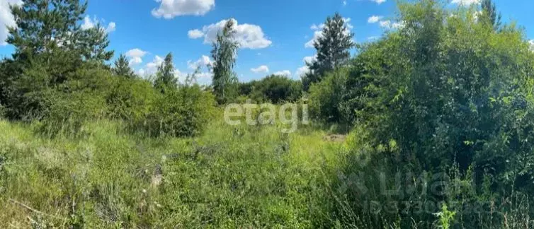 Участок в Липецкая область, Липецкий муниципальный округ, с. Подгорное ... - Фото 1