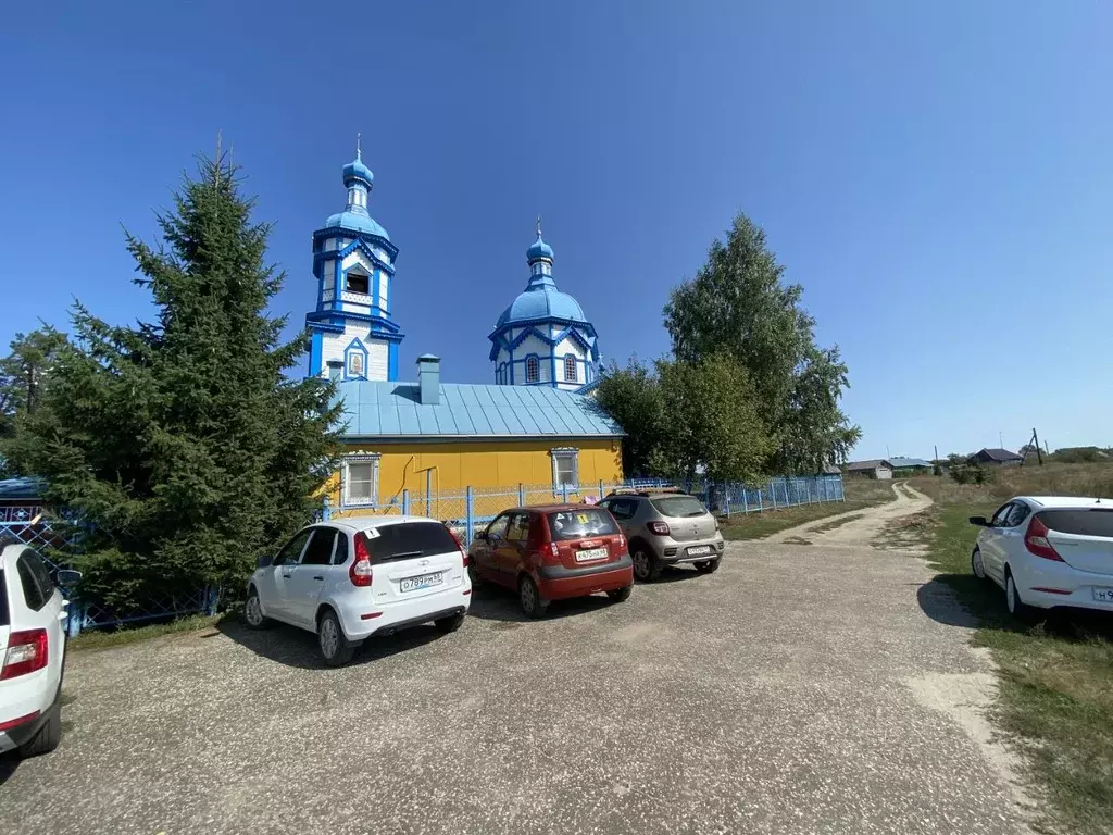 Участок в Тамбовская область, Знаменский район, с. Царевка  (15.0 ... - Фото 1