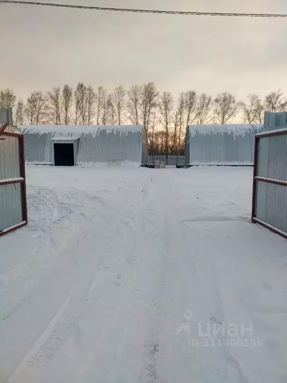 Склад в Новосибирская область, Новосибирск Золотая осень садовое ... - Фото 1