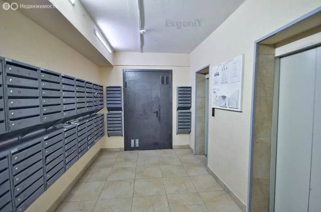 2-комнатная квартира: Саратов, улица имени В.С. Зарубина, 51 (55 м) - Фото 1