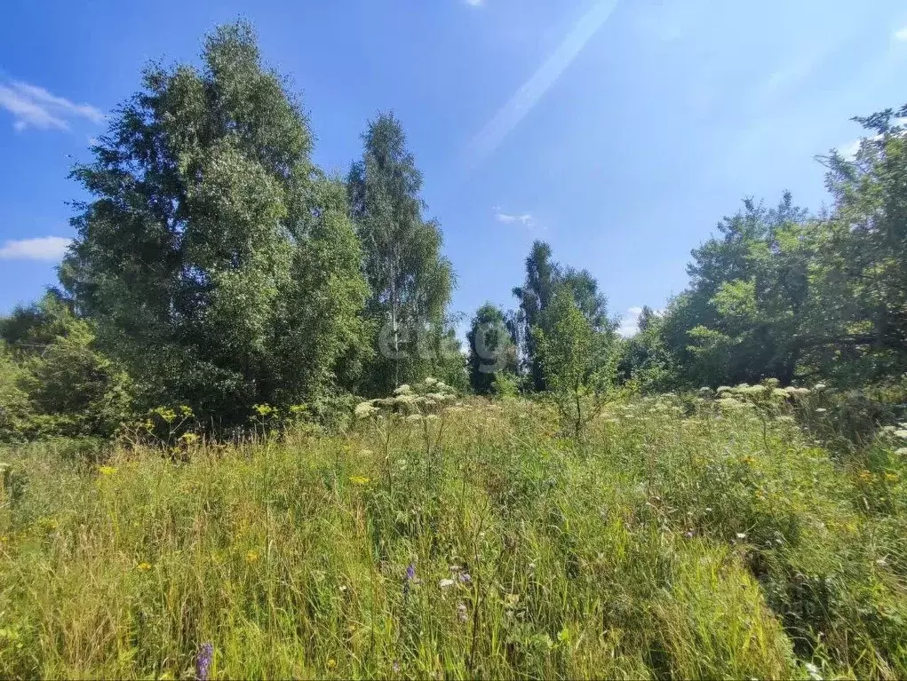 Участок в Калужская область, Перемышльский район, Корекозево с/пос, д. ... - Фото 2