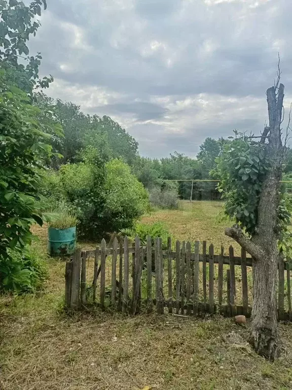 Дом 50 м на участке 15 сот. - Фото 0