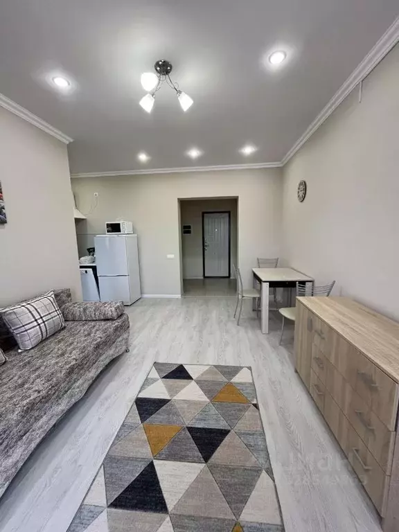 1-к кв. Краснодарский край, Сочи Новый Сочи мкр, ул. Цюрупы, 32 (56.0 ... - Фото 1