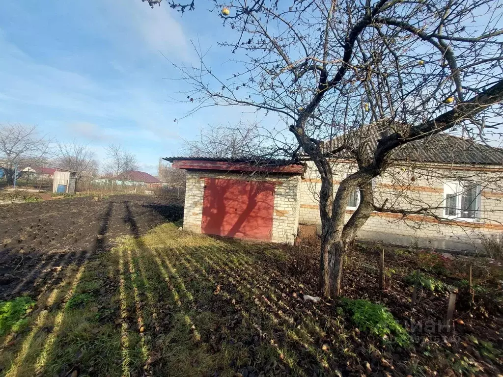 Дом в Курская область, Щигры ул. Максима Горького, 19 (74 м) - Фото 2