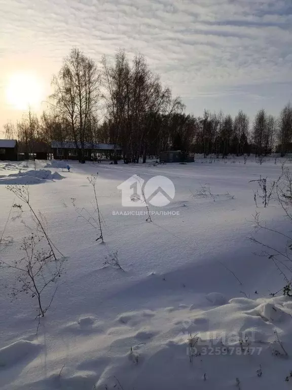 Участок в Новосибирская область, Искитимский район, Быстровский ... - Фото 1