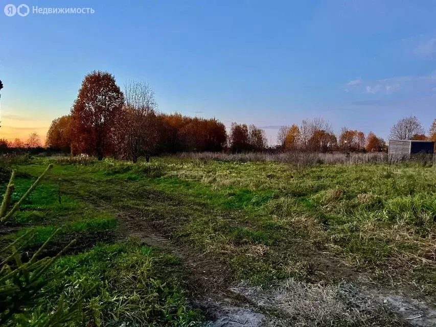 Участок в Волосовский район, Калитинское сельское поселение, деревня ... - Фото 0