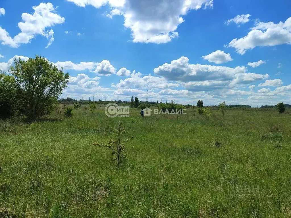 Участок в Воронежская область, Семилукское с/пос, с. Ендовище ул. ... - Фото 1