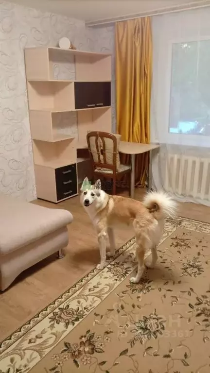 Комната Хабаровский край, Хабаровск Трехгорная ул., 50 (15.0 м) - Фото 2