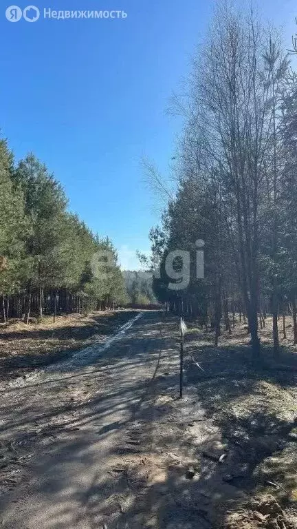 Участок в Московская область, городской округ Ступино, ДНП Отрада, 4-я ... - Фото 0